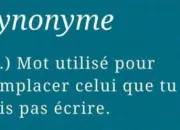 Quiz Le synonymes font preuve de mauvaise volonté