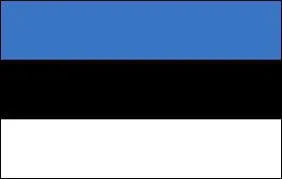 Which country does this flag belong to?