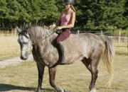 Quiz Quiz sur les robes des chevaux !