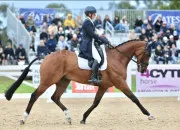 Quiz Révisions Galop 3 FFE
