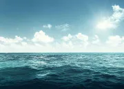 Quiz Les secrets de l’océan 🌊