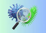 Quiz Virus, bactérie !