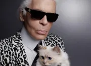 Quiz Les stars et leurs animaux