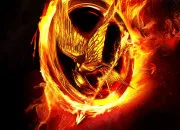 Quiz Hunger Games