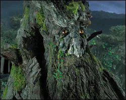 Which species does it belong to?