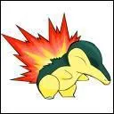 Who is this pokemon?