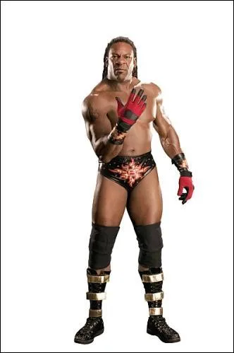 Who is this wrestler?