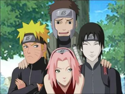 Which organization are Yamato and Sai members of?