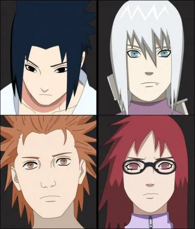 What is the goal of the Hebi team ?