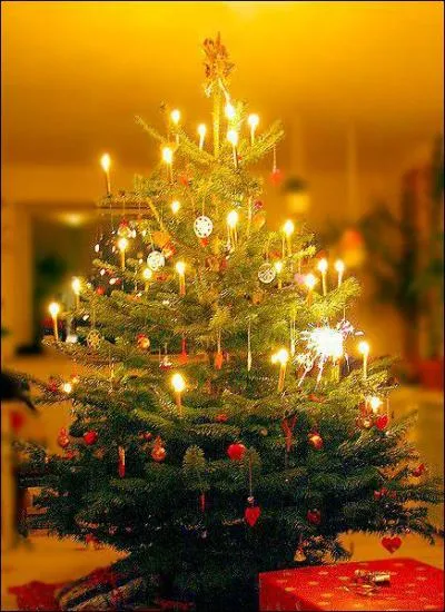 What should you consider when putting lights onto your christmas tree?
