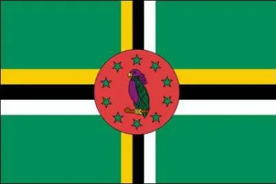 My capital is Roseau, I am the flag of which Caribbean state?