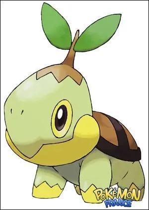 What is this Pokemon?