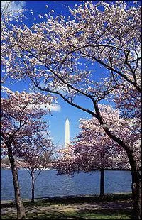 What's special about this American metropolis?