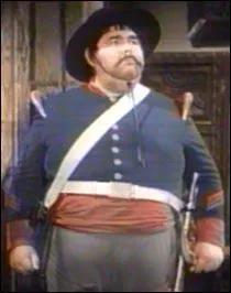 Sergeant Garcia, whose main occupation is chasing Zorro, is, for civil status: