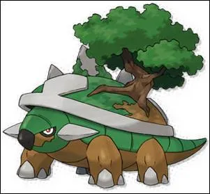 What type of Torterra is it?