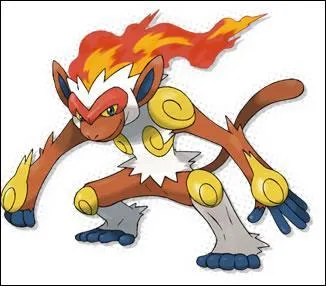 What type of Simiabraz is it?