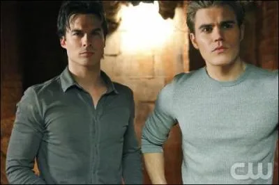 On a scale of one to 10 how hot are the Salvatore Brothers?