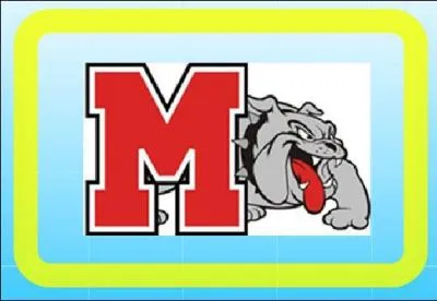 How do you insert an image into Prezi?