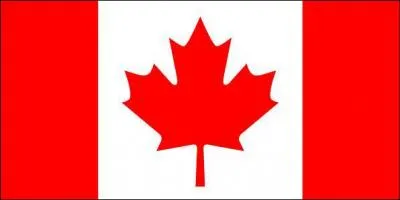 Which country does this flag belong to?