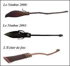 Does Hermione play quidditch?