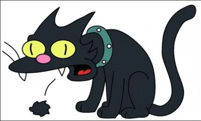 What's the name of the Simspon cat?