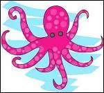 How many legs are there in the picture?