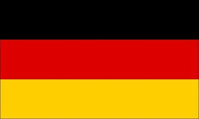 What does this flag represent?