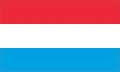 What does this flag represent?