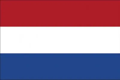 What does this flag represent?