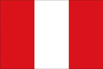 What does this flag represent?