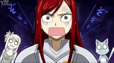Who does Erza meet again?