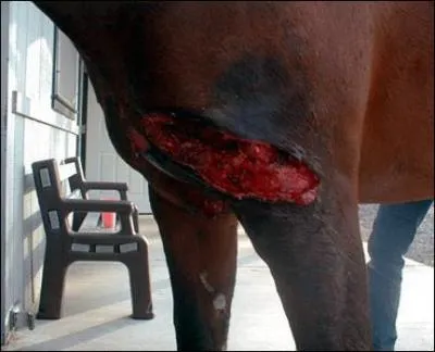 What type of wound is this?