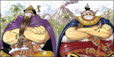 What are the names of the two giants Luffy's crew meets on Little Garden?