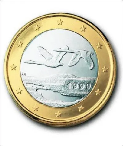 What country does this euro come from?