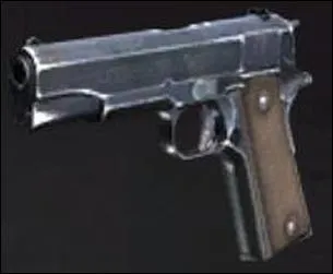 What is this weapon?