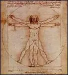 What is the name commonly given to the pen, ink and wash drawing on paper entitled 'Etude de proportions du corps humain'?