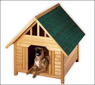 On Judgement Day, who took up residence in this compact A frame?