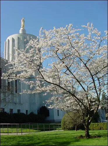 What is the capital of Oregon?