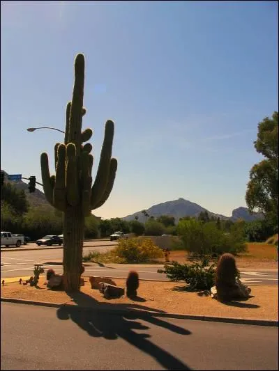 What is the capital of Arizona?