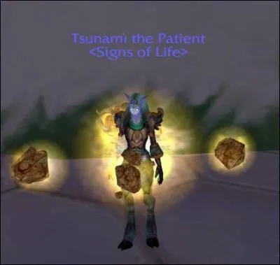 What spec is this Shaman?