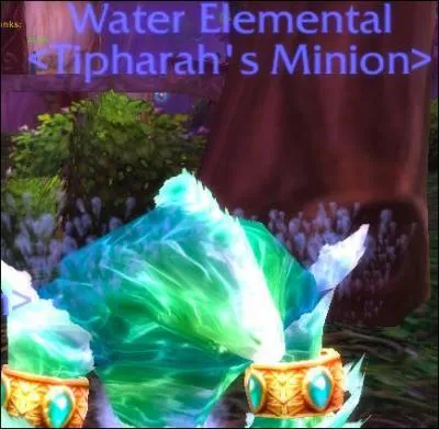 What spec is this Mage if he has this pet out?