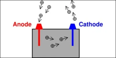 The anode is the electrode :