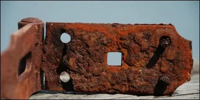 Rust results from a reaction of iron with: