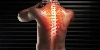 With which bone does the spine end?