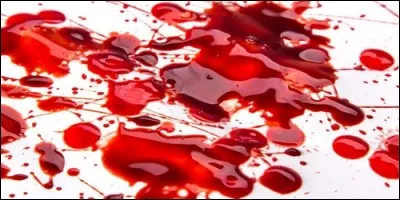 How many liters of blood circulate in the human body?