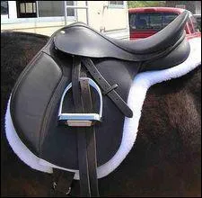 Is this saddle...