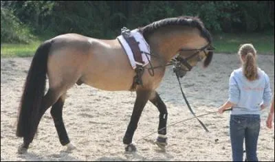 What is wrong with this?