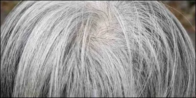 What do we call the whitening of the hair due to aging?