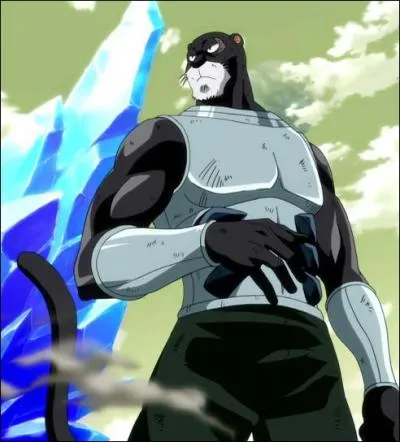 Whose cat will Lily become?