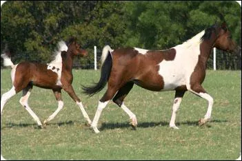 Which these is the most important?